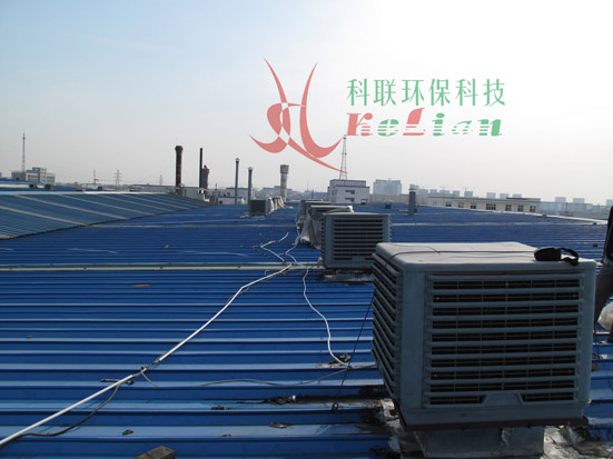 ��ϵ���������