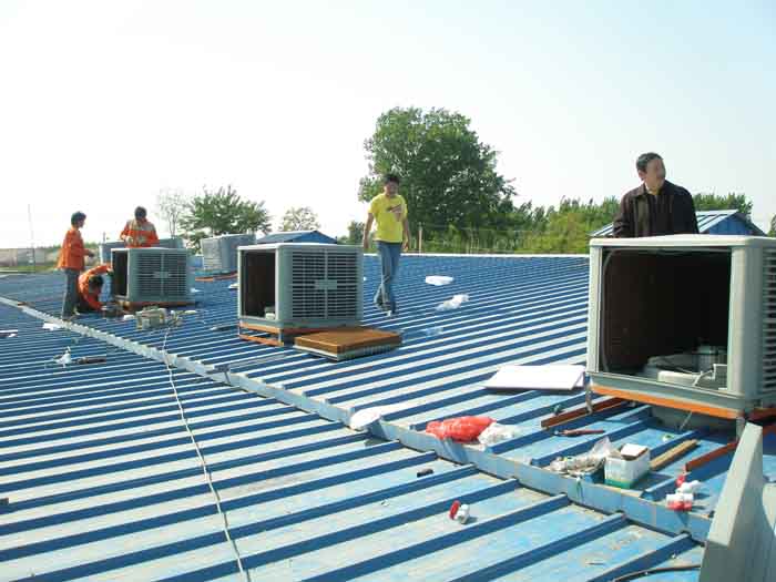 ��ҫ��������